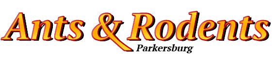 Parkersburg Ant Exterminator & Rodent Control Company Logo